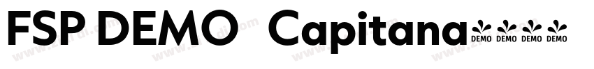 FSP DEMO   Capitana字体转换